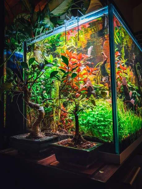 Terrarium, Vivarium, Paludarium và Aquarium 4