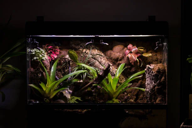 Terrarium, Vivarium, Paludarium và Aquarium 5