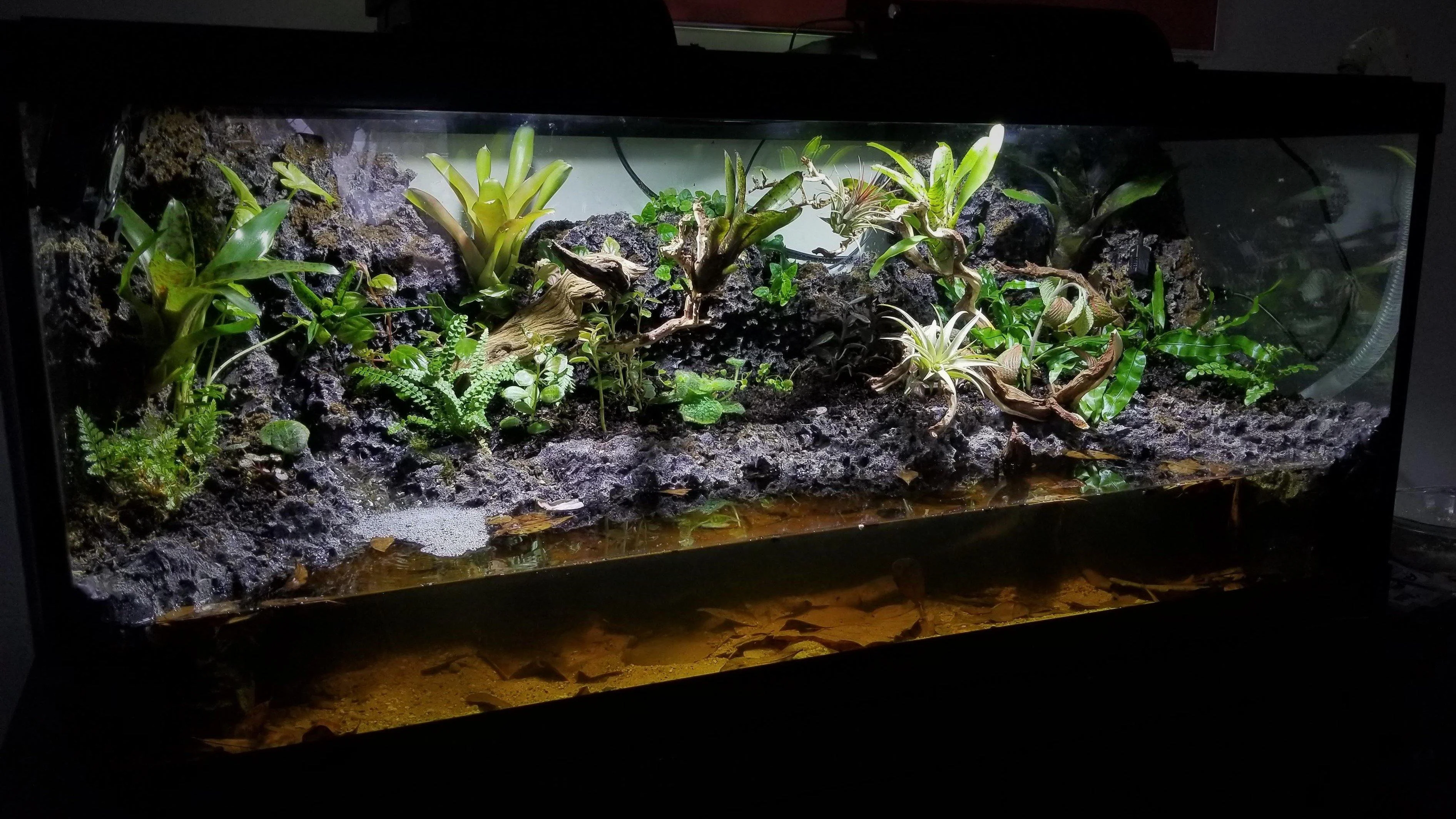 Terrarium, Vivarium, Paludarium và Aquarium 8