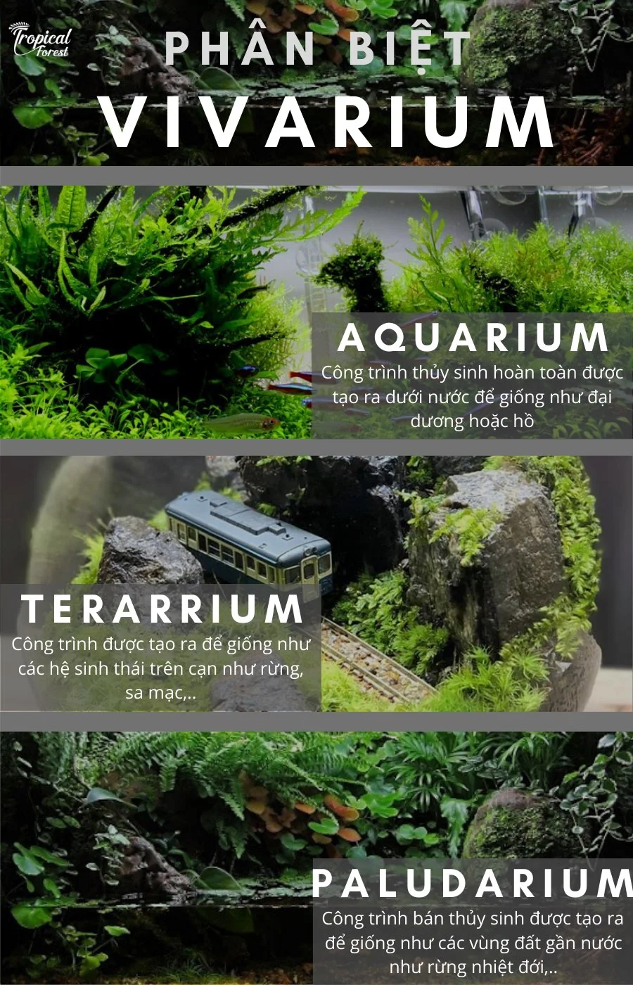 terrarium