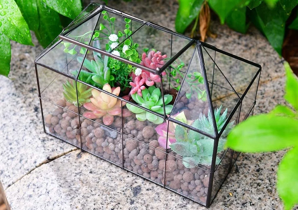 terrarium-da-giac-5