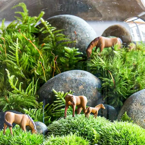 Khám phá kho phụ kiện trang trí giá sỉ đa dạng và phong phú - Tiny Garden