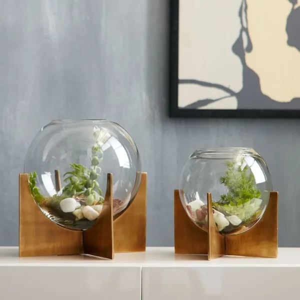 Cách chọn và chăm sóc Terrarium để bàn đẹp, độc đáo