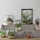 Tạo nên terrarium đẹp mắt với phụ kiện trang trí tinh tế