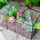 Terrarium đa giác: Ý tưởng trang trí terrarium đa giác độc đáo