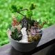 Tạo nên terrarium đẹp mắt với phụ kiện trang trí tinh tế