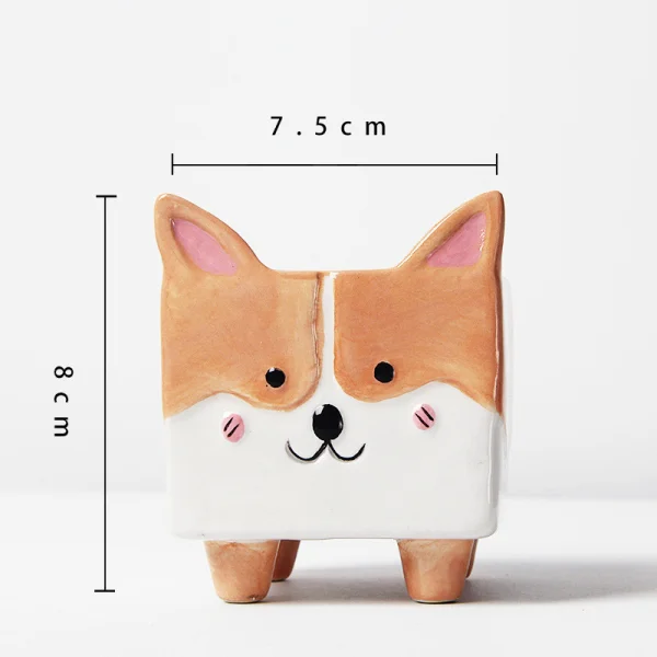 chau-trong-cay-corgi-vuong