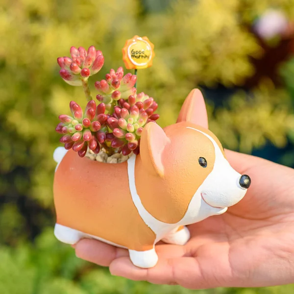 chau-trong-cay-hinh-cho-corgi-dung-3