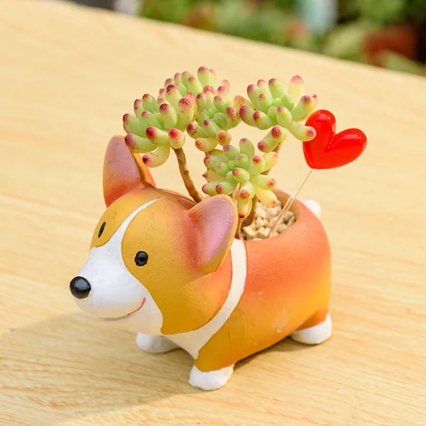 chau-trong-cay-hinh-cho-corgi-dung-4