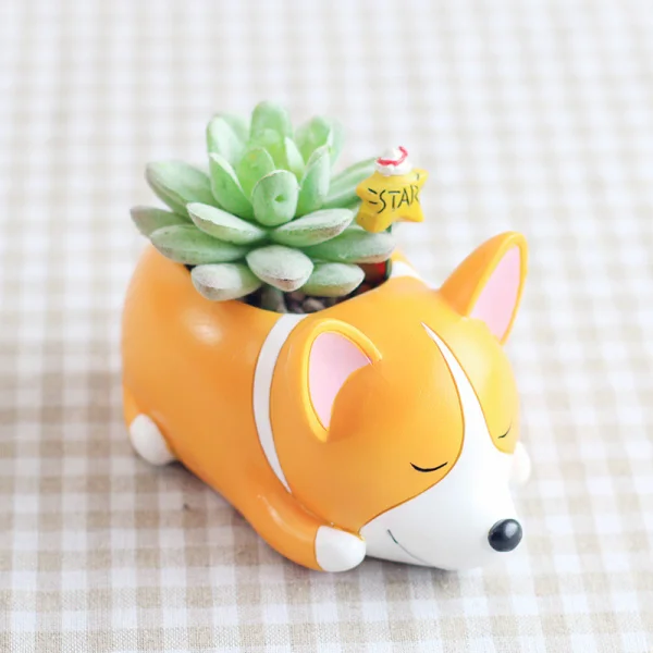 chau-trong-cay-hinh-cho-corgi-nam-2