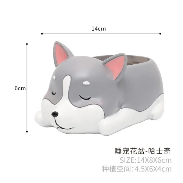 chau-trong-cay-hinh-cho-corgi-nam-7