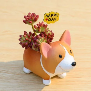 chau-trong-cay-hinh-cho-corgi-dung-1