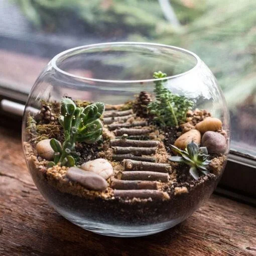 cach-lam-terrarium-03