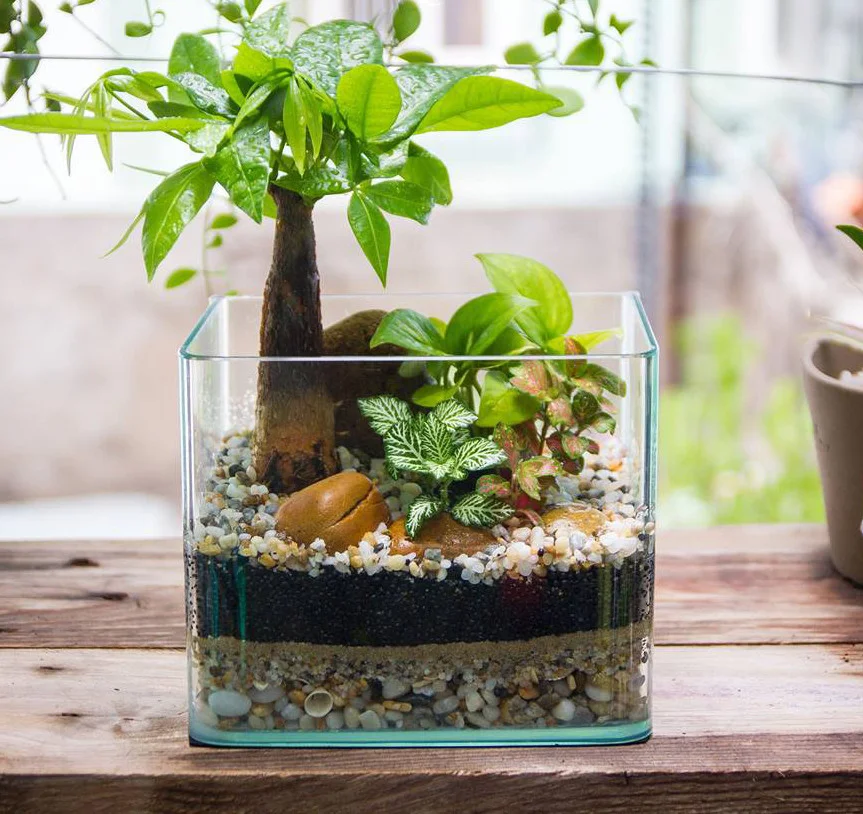 cach-lam-terrarium-09