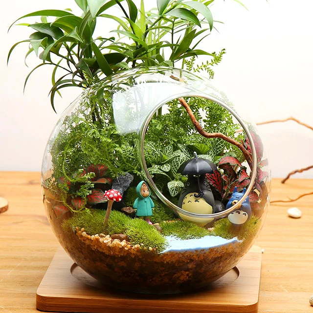 cach-lam-terrarium-12