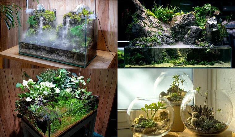 cach-lam-terrarium-14