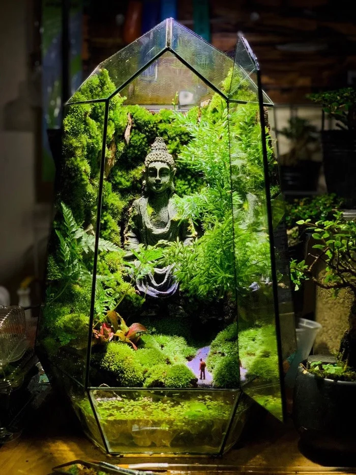 cach-lam-terrarium-15