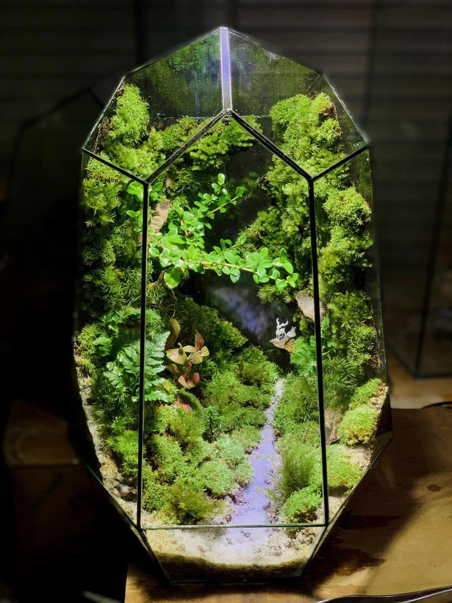 cach-lam-terrarium-16