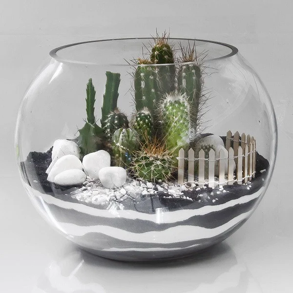 cach-lam-terrarium-17