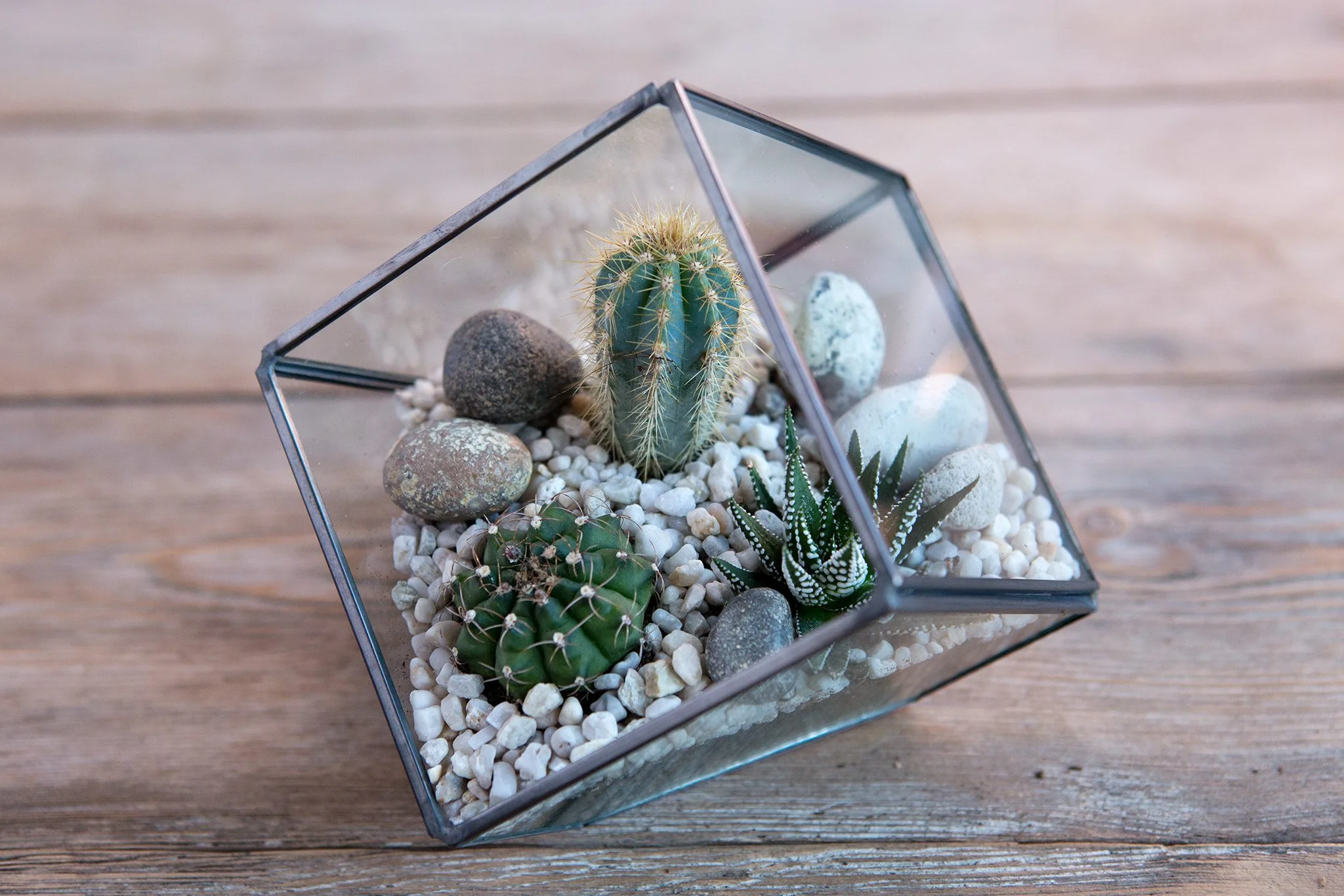 cach-lam-terrarium-18