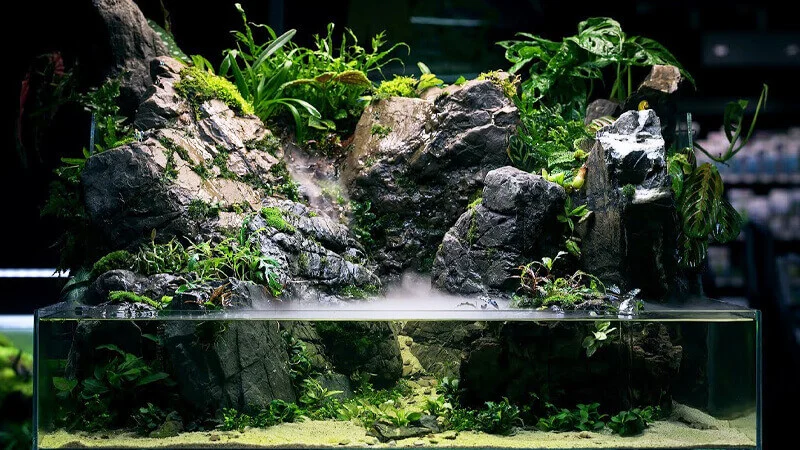 cach-lam-terrarium-19