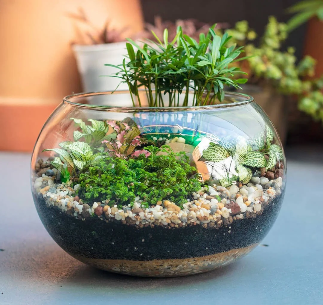 chau-terrarium-02