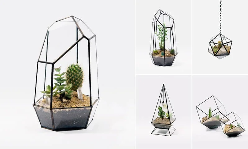 chau-terrarium-04