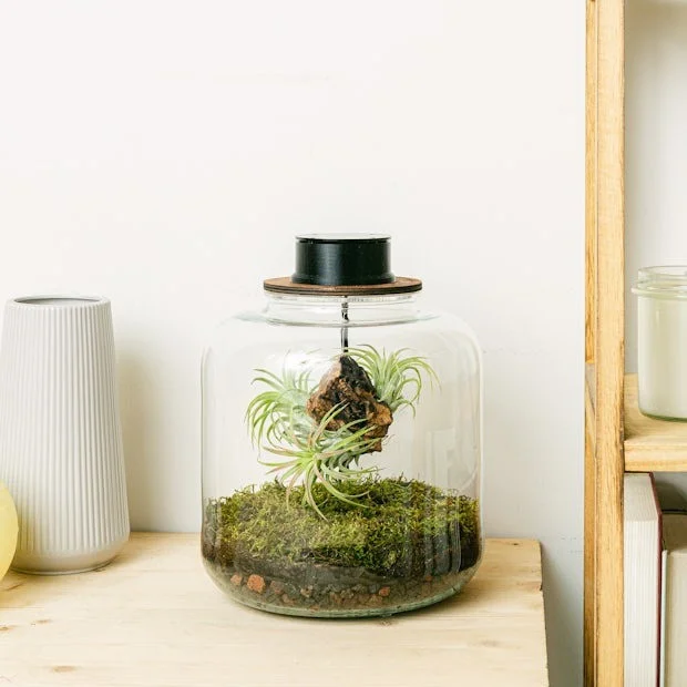 chau-terrarium-06