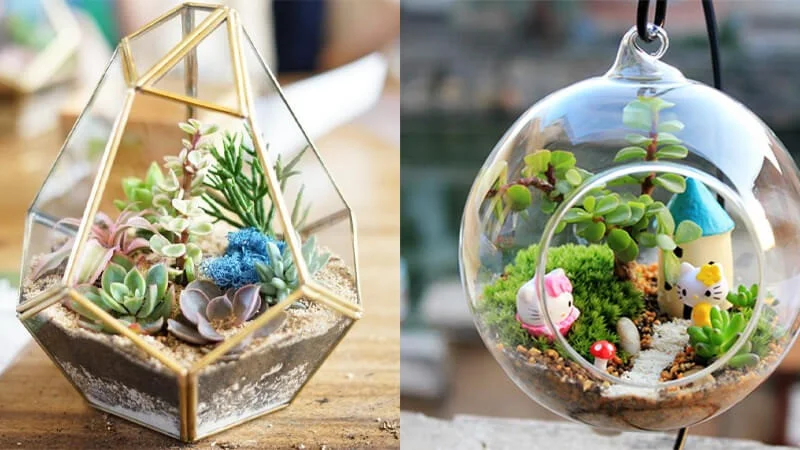 chau-terrarium-11