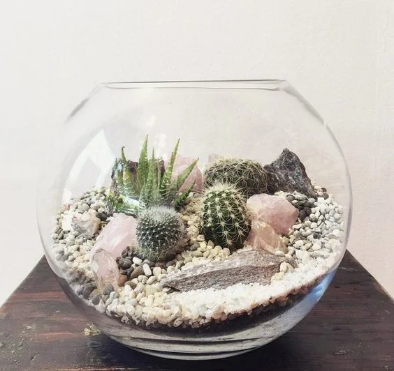 chau-terrarium-13