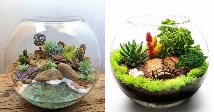 chau-terrarium-18