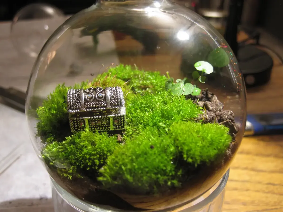 chau-terrarium-19