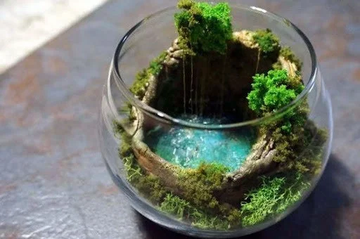 lo-thuy-tinh-terrarium-03