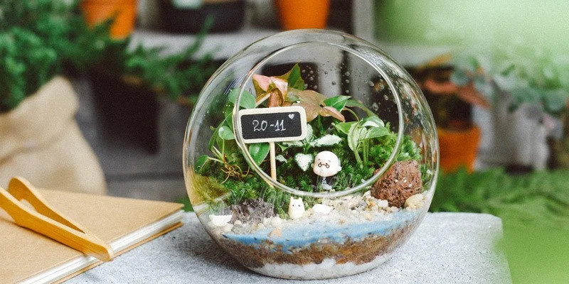 lo-thuy-tinh-terrarium-09