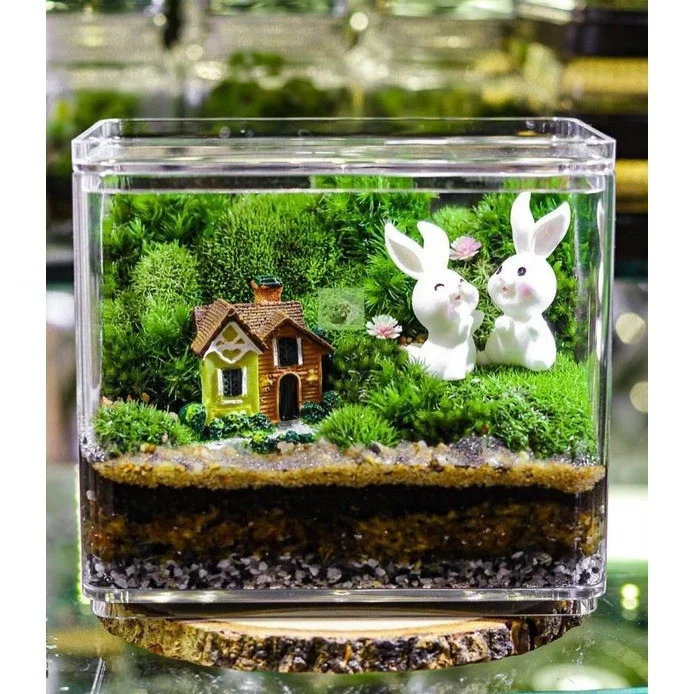 lo-thuy-tinh-terrarium-11