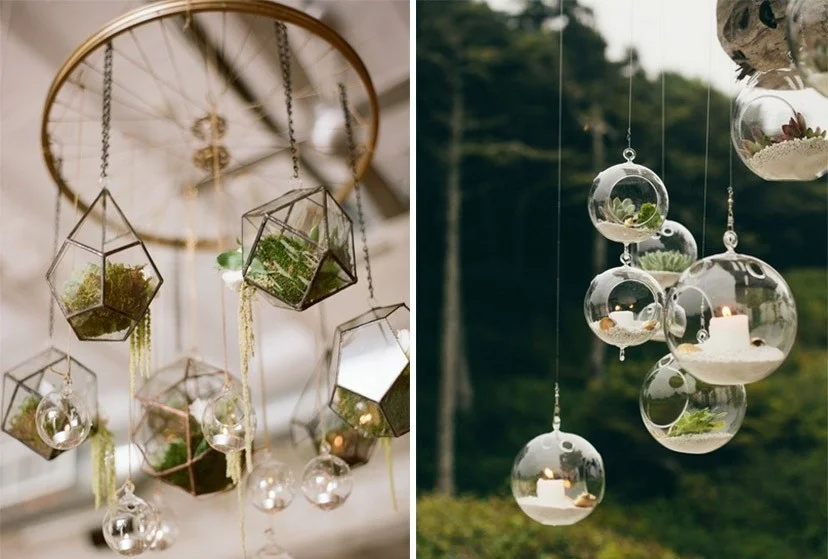 lo-thuy-tinh-terrarium-13