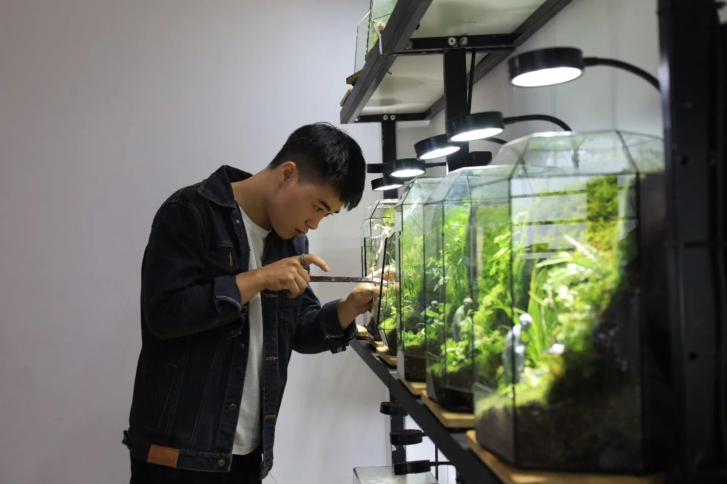 lo-thuy-tinh-terrarium-21