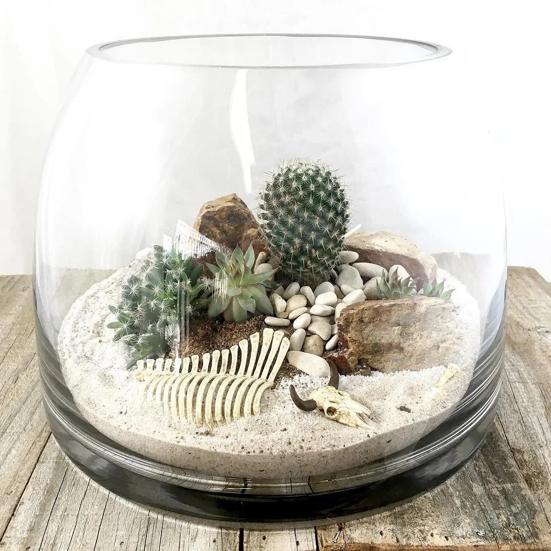 terrarium-10