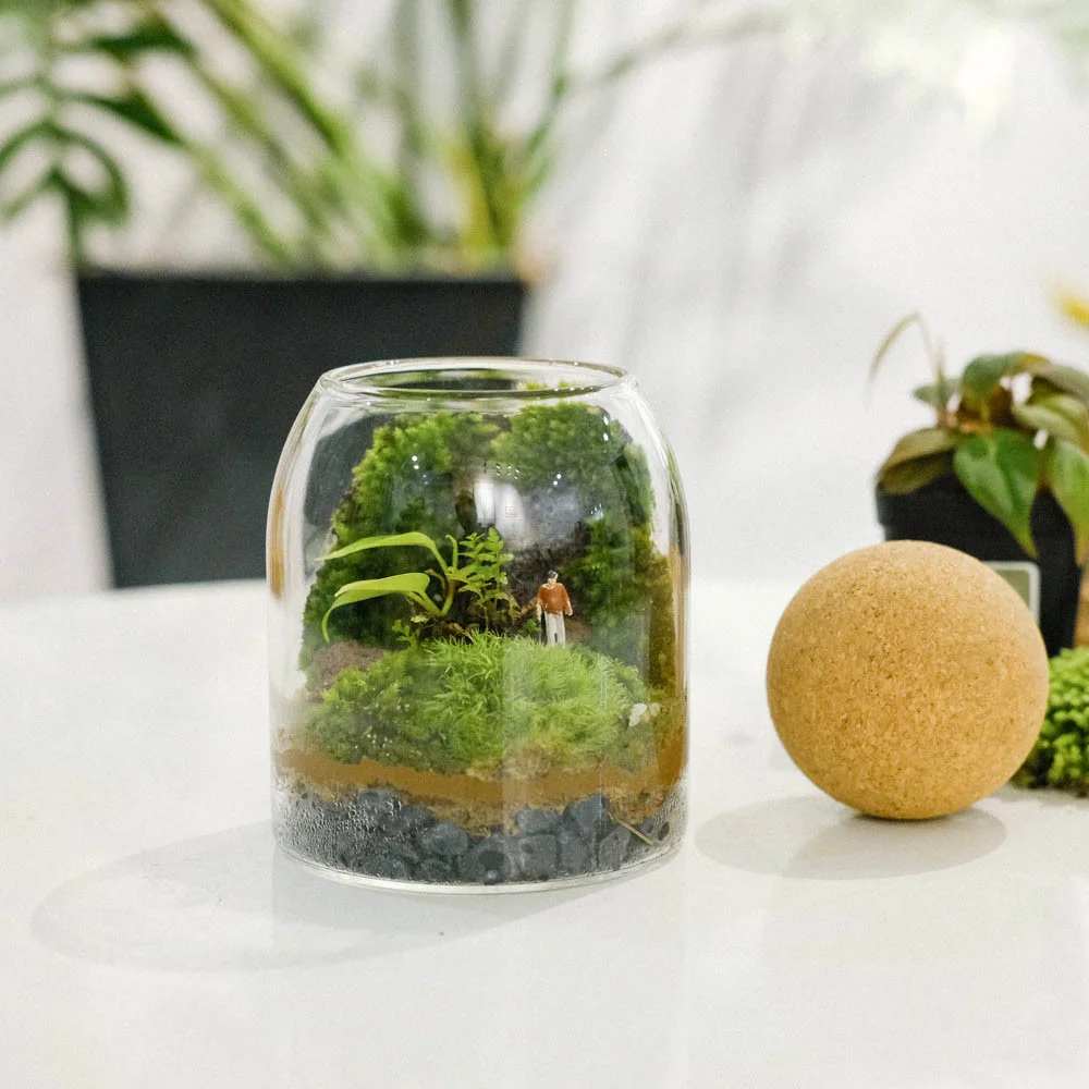 terrarium-3