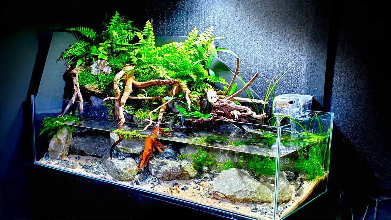 terrarium-6