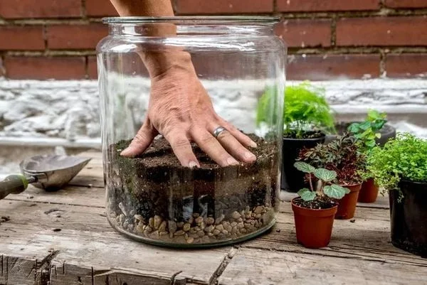 terrarium-cho-nguoi-moi-bat-dau-7