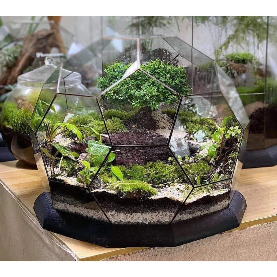 terrarium-de-ban-07