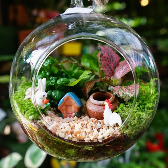 terrarium-de-ban-18