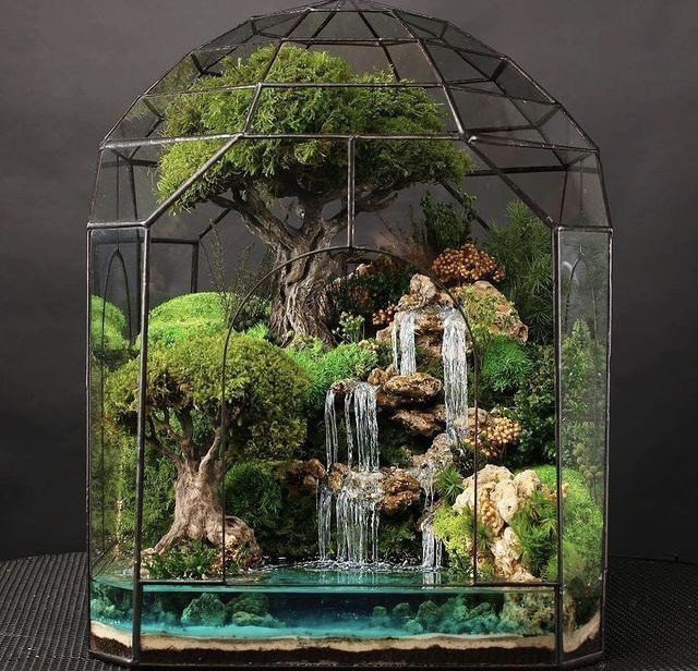 terrarium-dep-12