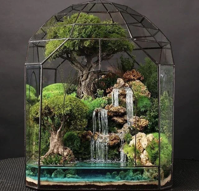 terrarium-dep-12