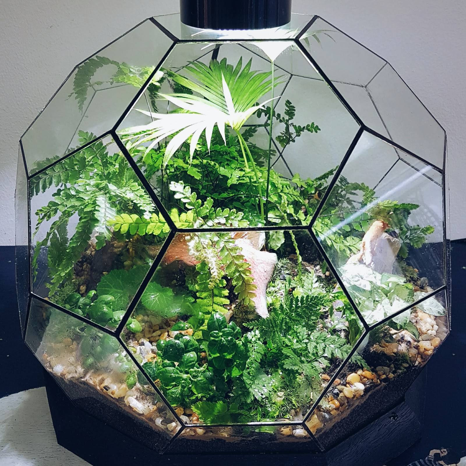 terrarium-dep-16