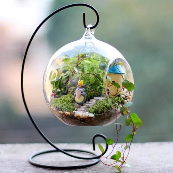 terrarium-dep-17