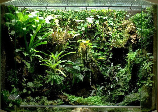 terrarium-dep-5