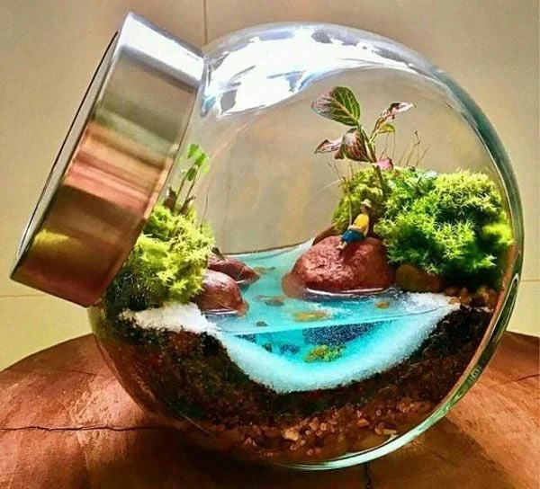 terrarium-dep-7