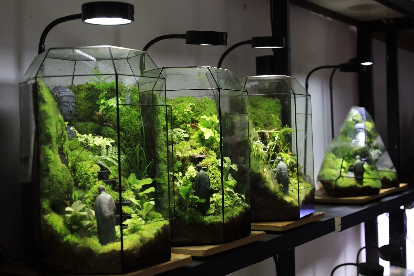 terrarium-ha-noi-10